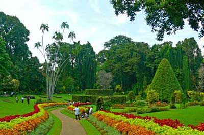Peradeniya Botanical Garden |asangatours.com