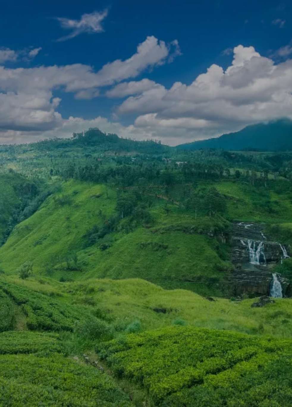 Nuwara Eliya